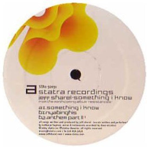 Jeff Sharel - Something I Know Vinyl Record