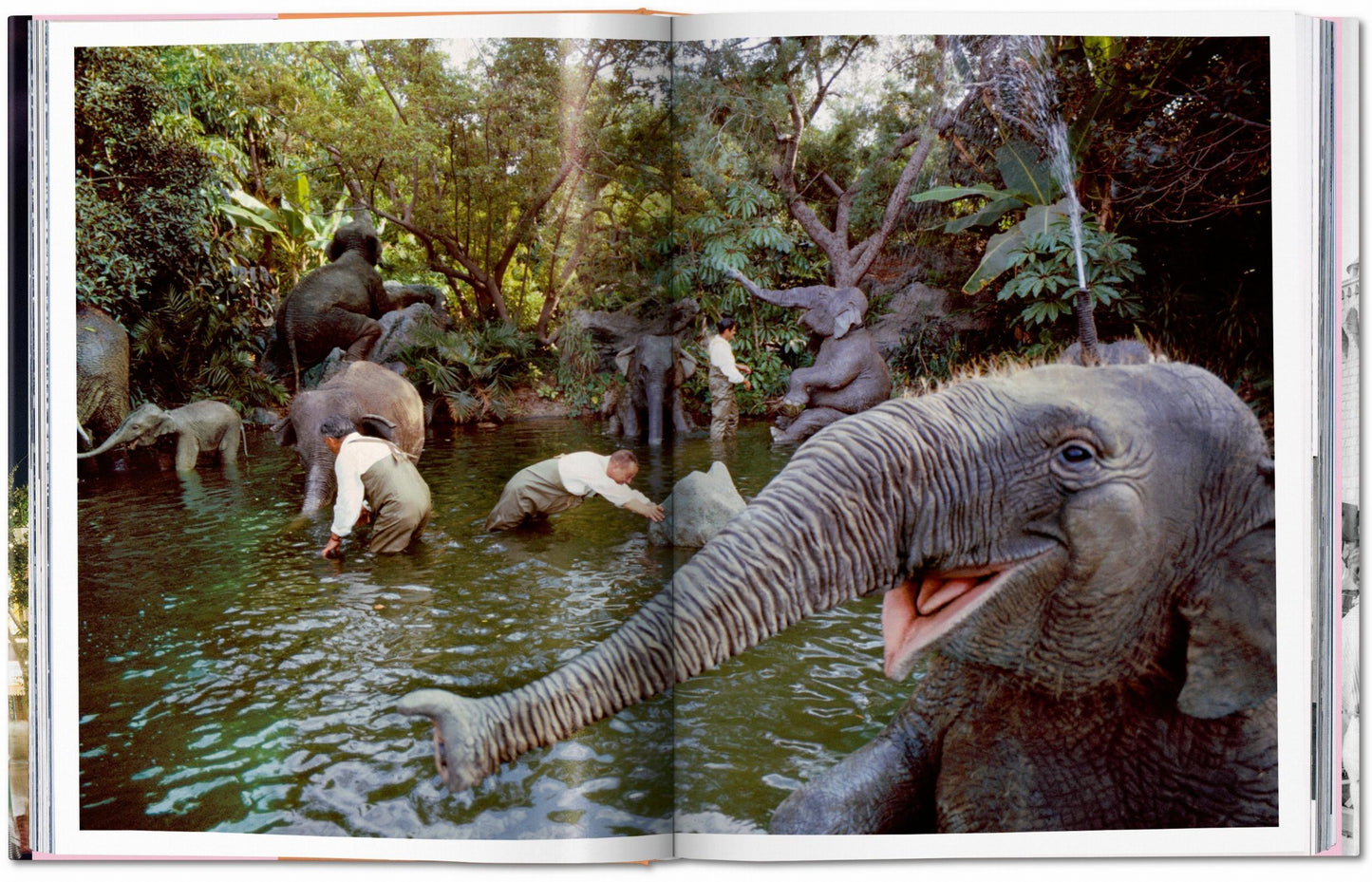 Walt Disney’s Disneyland (English) Book