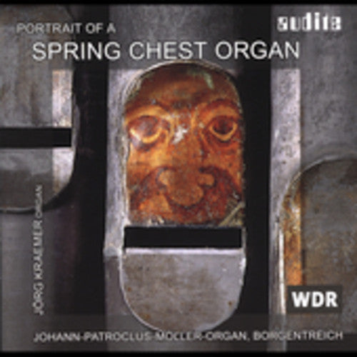 the album cover for Portrait Of A Spring Chest Org - Portrait of a Spring Chest Organ