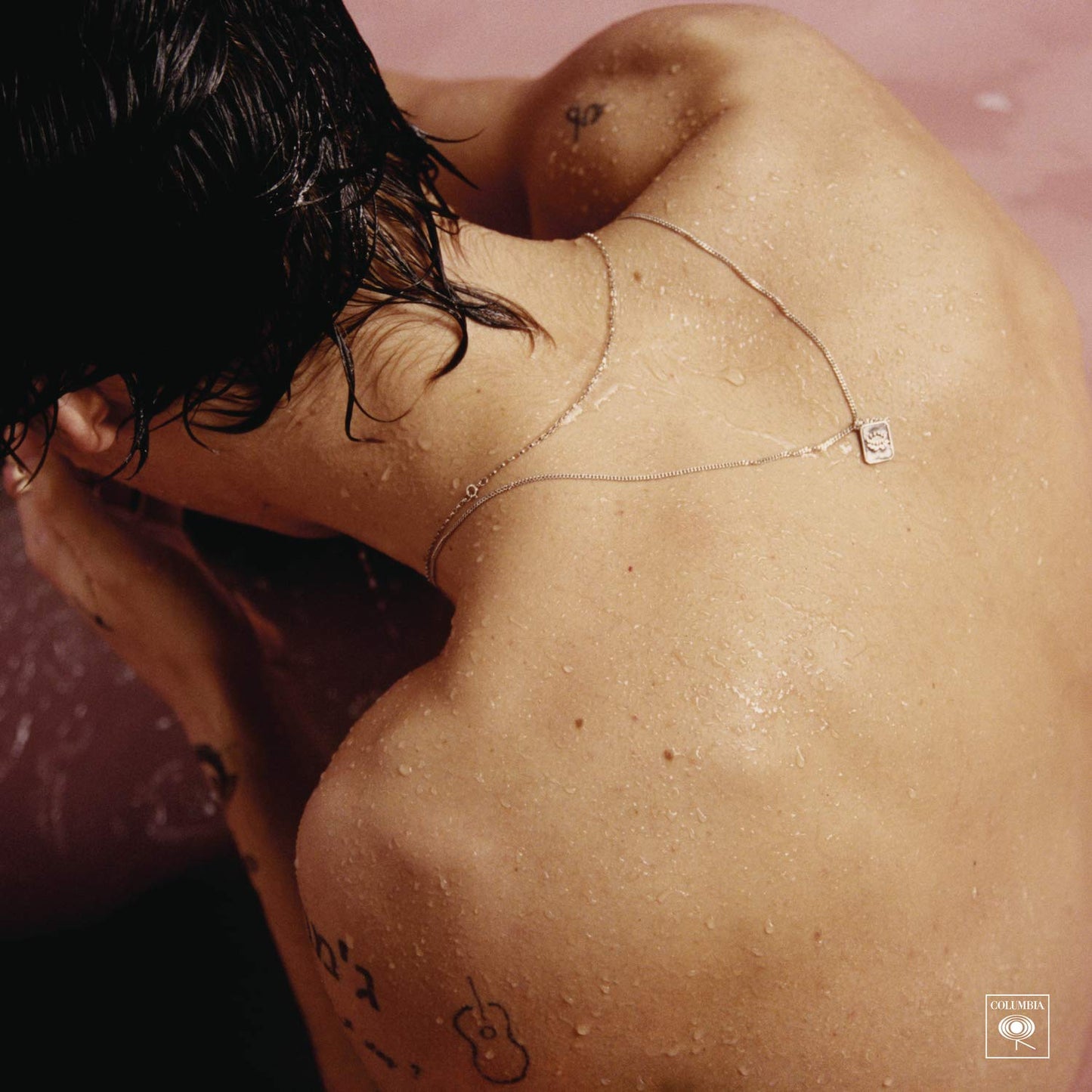 Harry Styles Gatefold (180G) Vinyl Record