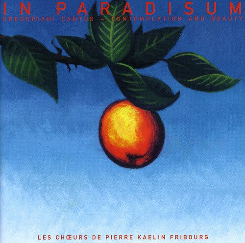 the album cover for In Paradisum - In Paradisum: Gregoriani Cantus with Enigma Tunes