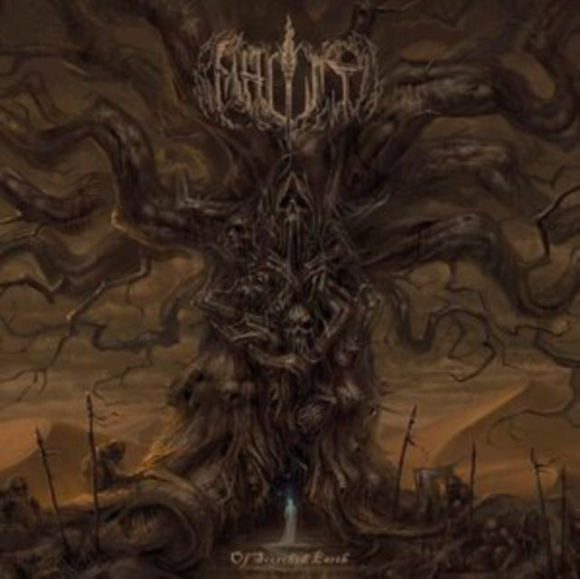 Beholder - Dualisme - LP Vinyl Record