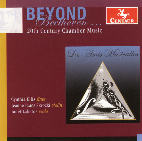 Reger / Egilsson / Broughton / Ellis / Skrocki - Beyond Beethoven: 20th Century Chamber Music - Music CD