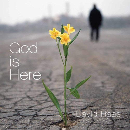 Haas,david - God Is Here - Music CD