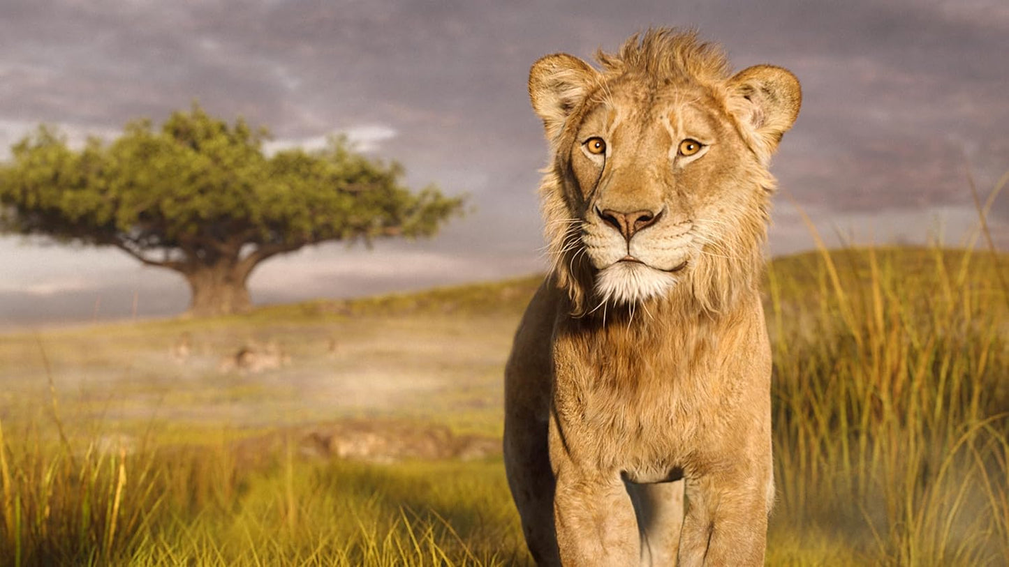 Mufasa: The Lion King - 4K UHD/BD Combo + Digital + Steelbook