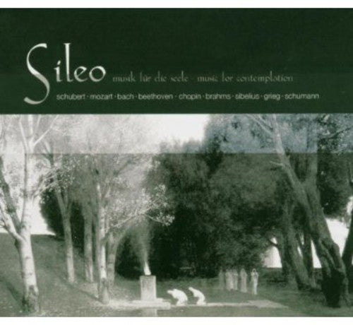 the album cover for Sileo-Music For Contemplation - Sileo: Music for Contemplation