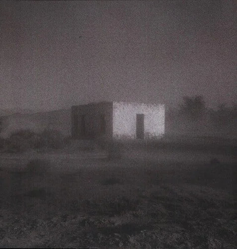 Godspeed You! Black Emperor - Allelujah! Don't Bend! Ascend! Vinyl Record