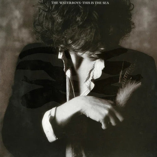The Waterboys - This Is the Sea Vinyl Record