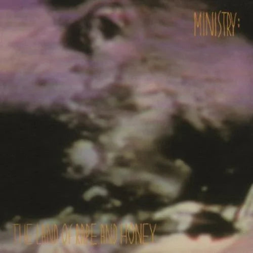 Ministry - Land of Rape & Honey Vinyl Record