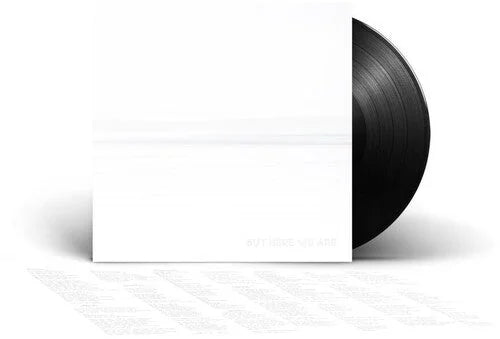 Foo Fighters - But Here We Are Vinyl Record