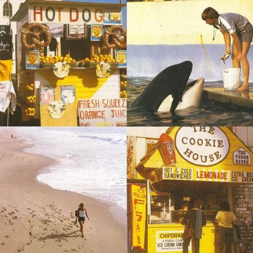 Best Coast - Something in the Way Vinyl Record