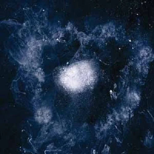 Swans - My Father Will Guide Me Up a Rope to the Sky Vinyl Record