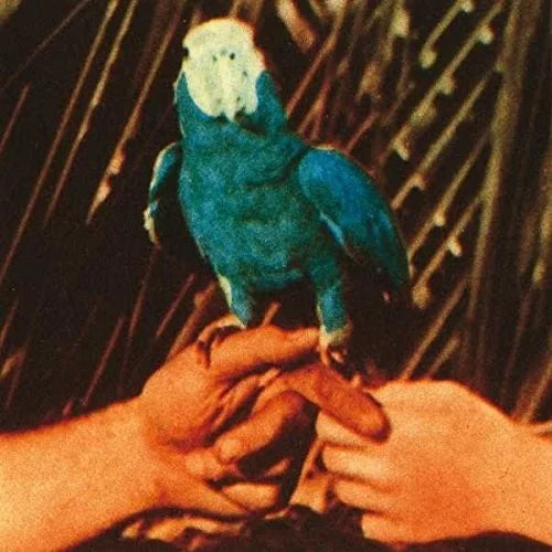 Andrew Bird - Are You Serious Vinyl Record