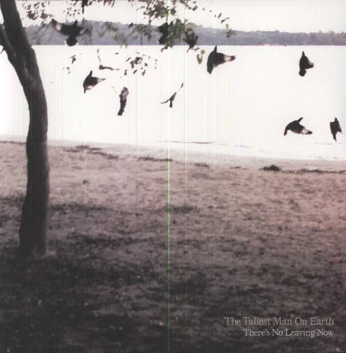 The Tallest Man on Earth - There's No Leaving Now Vinyl Record