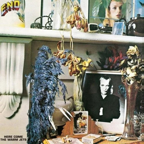 Brian Eno - Here Come The Warm Jets Vinyl Record