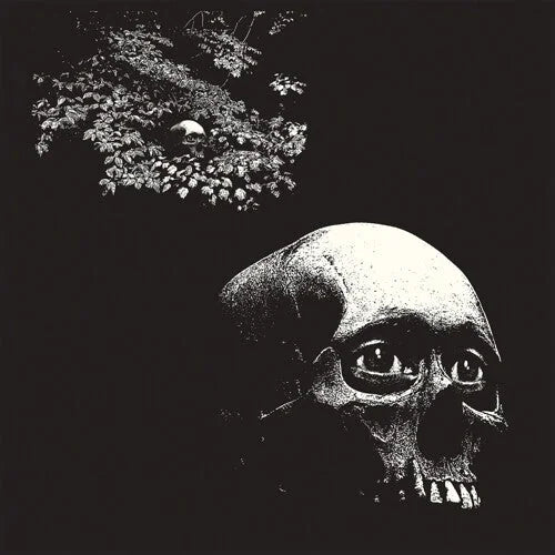 Osees - Foul Form Vinyl Record