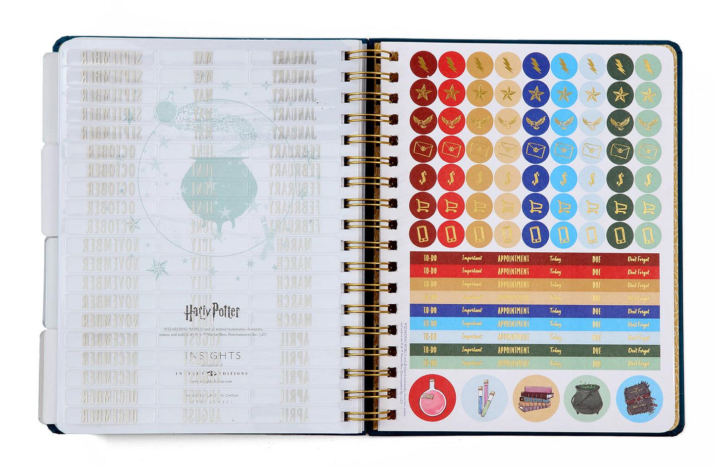 Harry Potter: Spells and Potions 12-Month Undated Planner