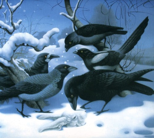 the album cover for Lisa Germano - In the Maybe World