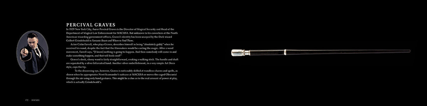 Harry Potter and Fantastic Beasts: The Wands of the Wizarding World