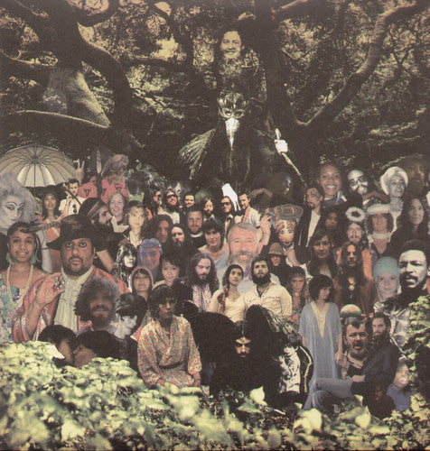 Devendra Banhart - Cripple Crow Vinyl Record