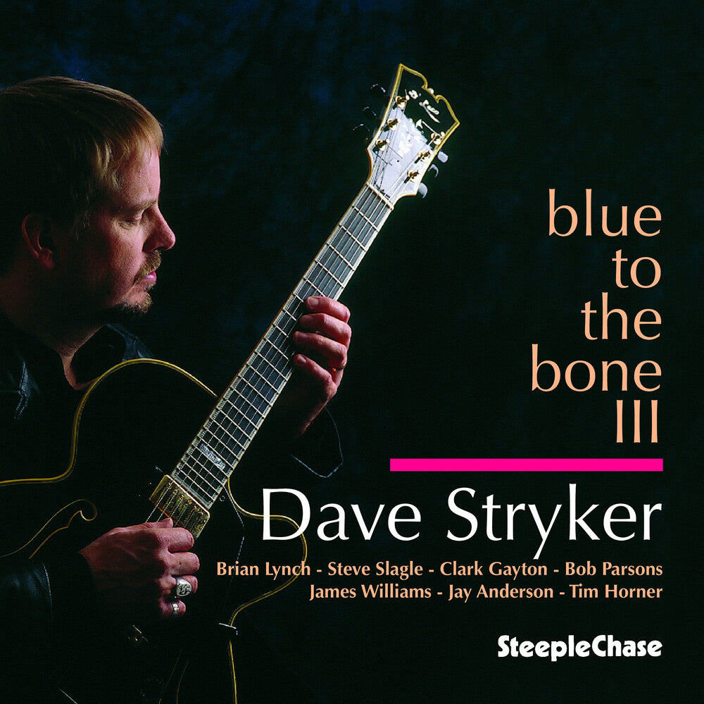 the album cover for Dave Stryker - Blue To The Bone III