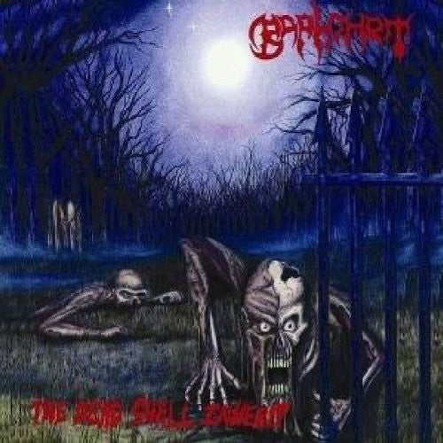 the album cover for Baphomet - The Dead Shall Inherit