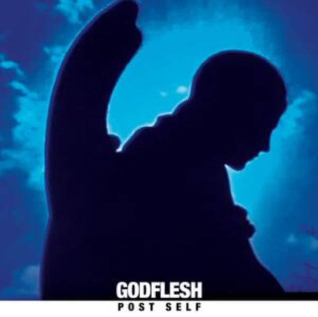 Post Self (Transparent Blue LP Vinyl) Vinyl Record