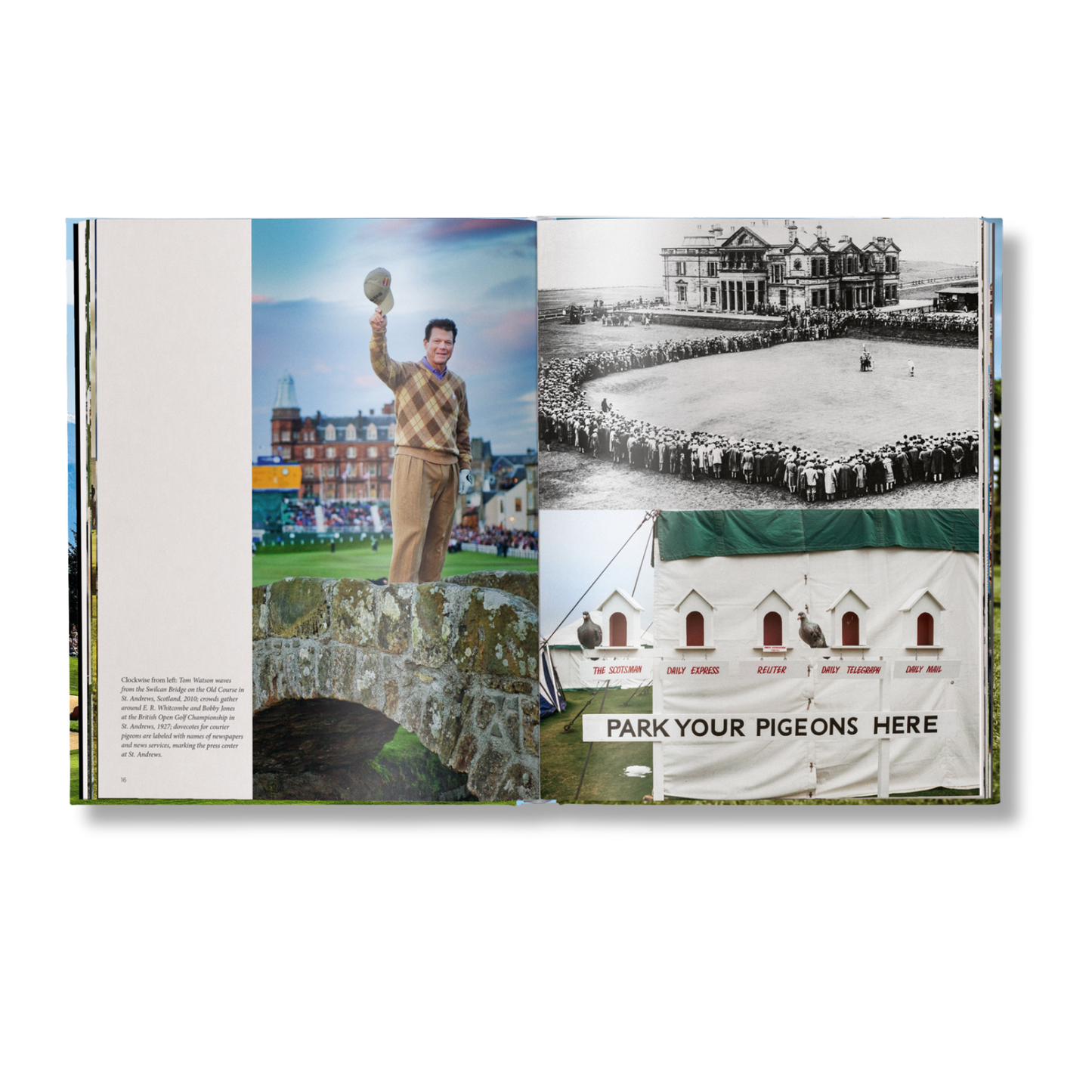 The Stylish Life: Golf Book