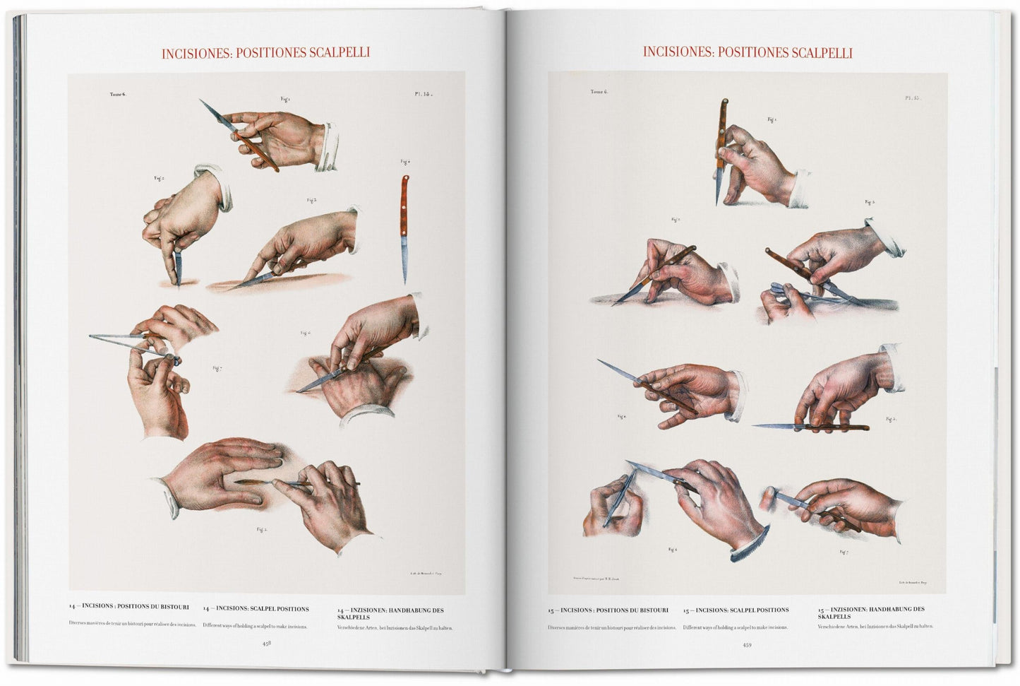 Bourgery. Atlas of Human Anatomy and Surgery (German, French, English) Book