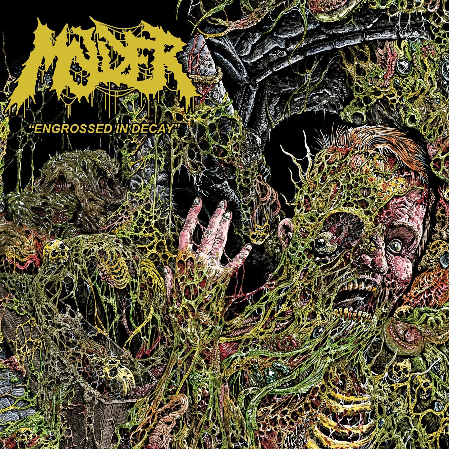 Molder "Engrossed In Decay" Music CD