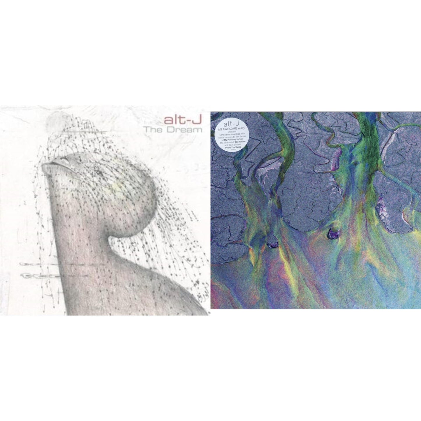 Alt-J - Dream & Awesome Wave - LP Vinyl Bundle