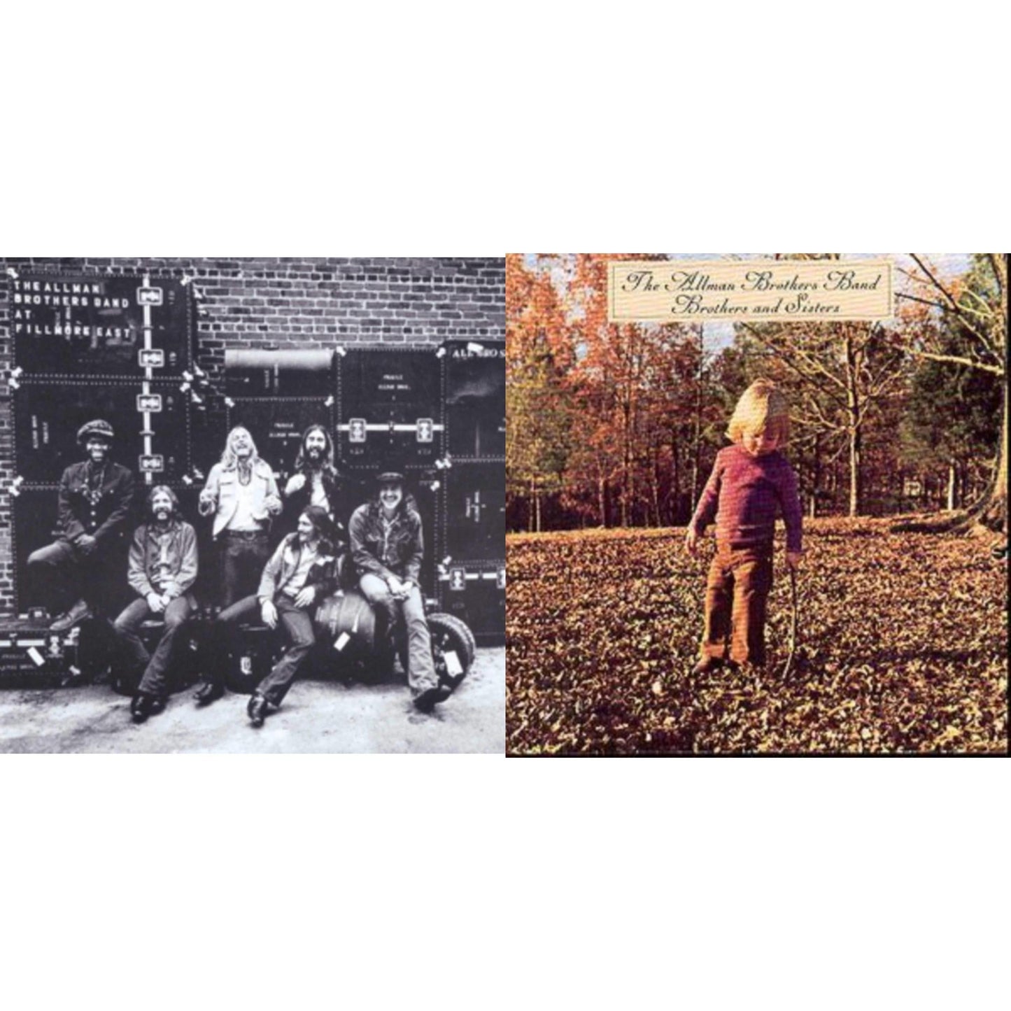 Allman Brothers Band - Live At Fillmore East & Brothers & Sisters - CD Bundle