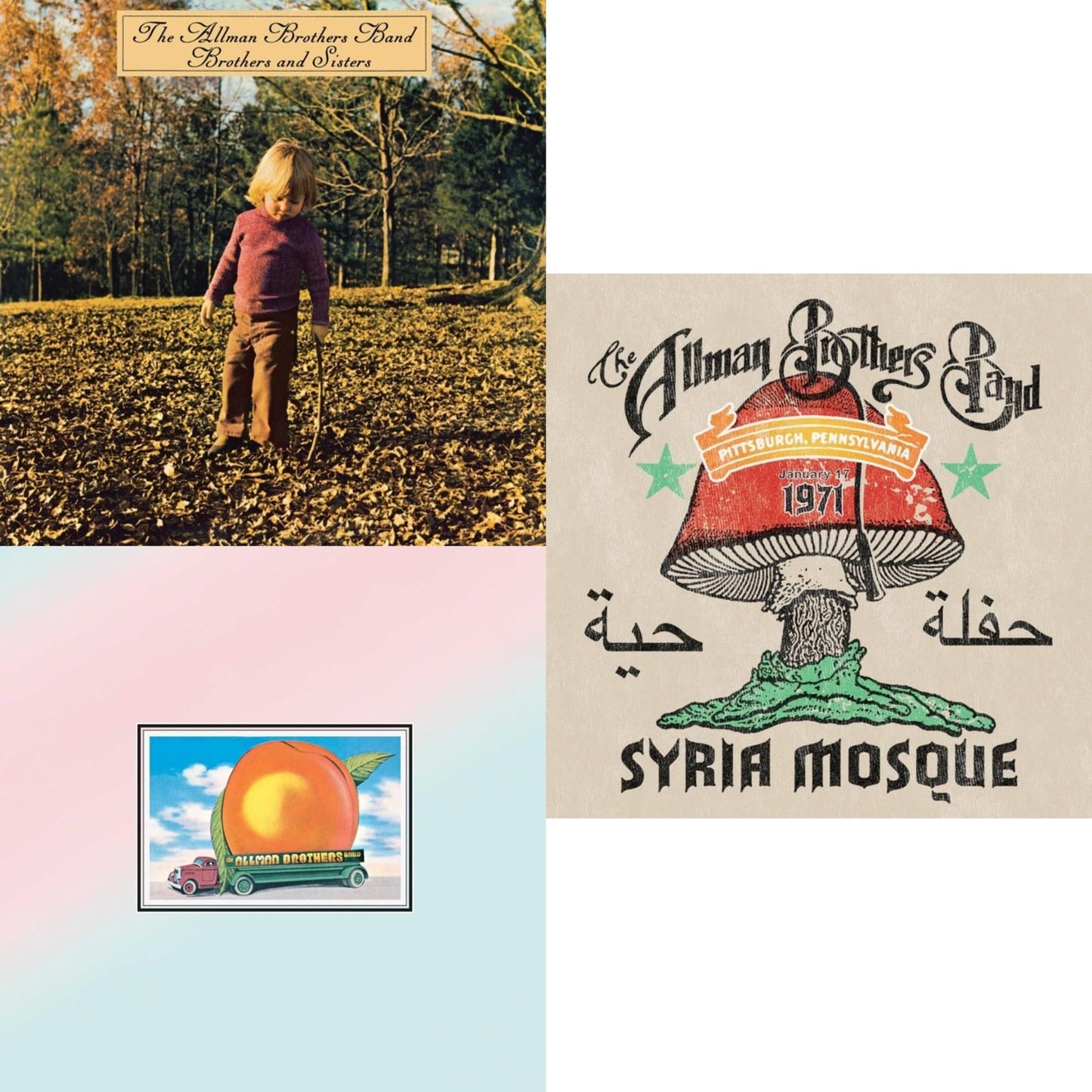 Allman Brothers Band - Brothers & Sisters & Eat A Peach (2LP) & Syria Mosque: Pittsburgh, Pa January 17, 1971 (Live) (Pittsburgh Steel Gray Vinyl/2LP)