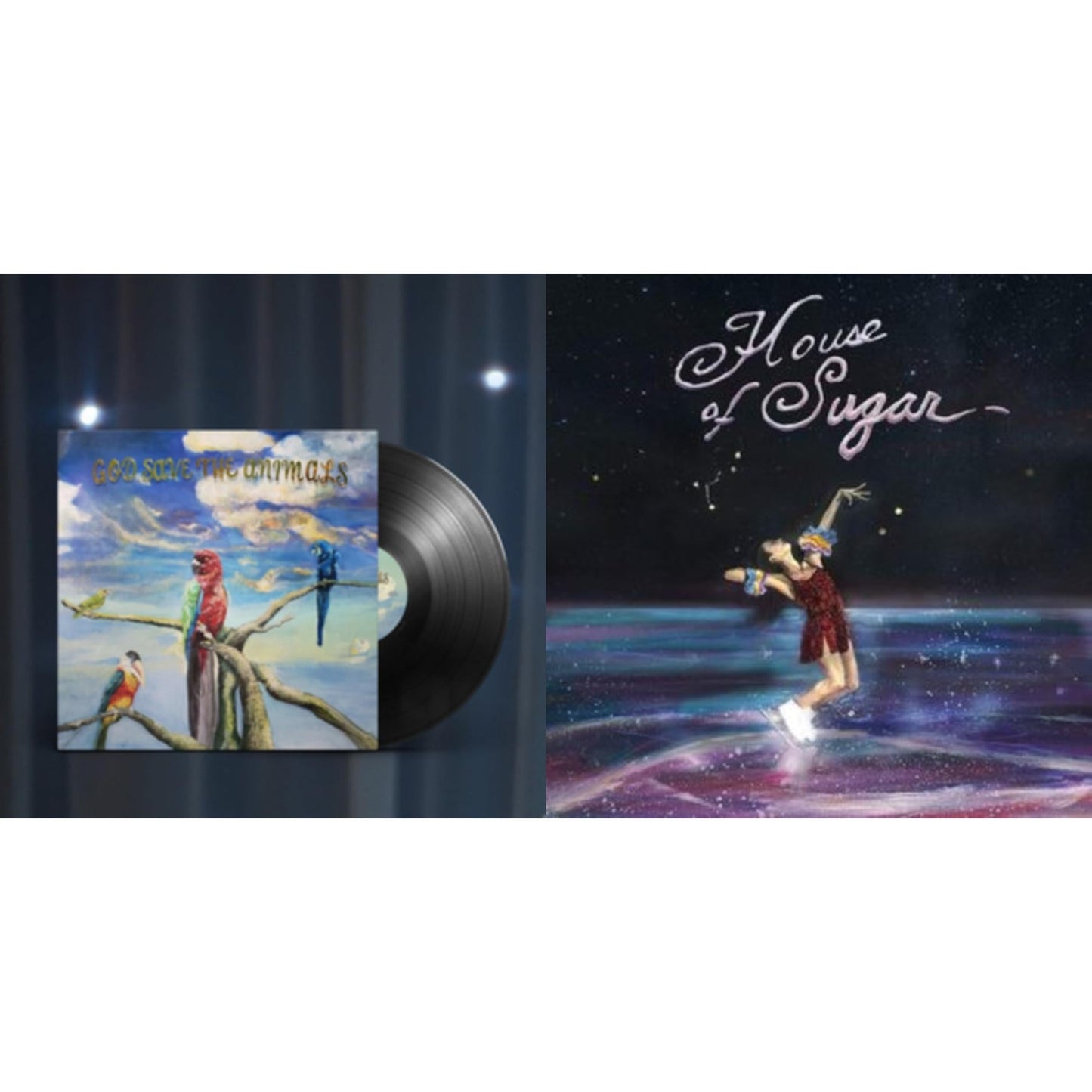 Alex G - House Of Sugar & God Save The Animals - LP Vinyl Bundle