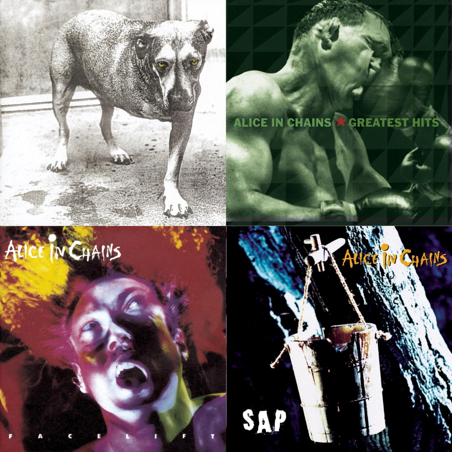 Alice In Chains - Greatest Hits & Sap & Facelift & Alice In Chains - CD Bundle