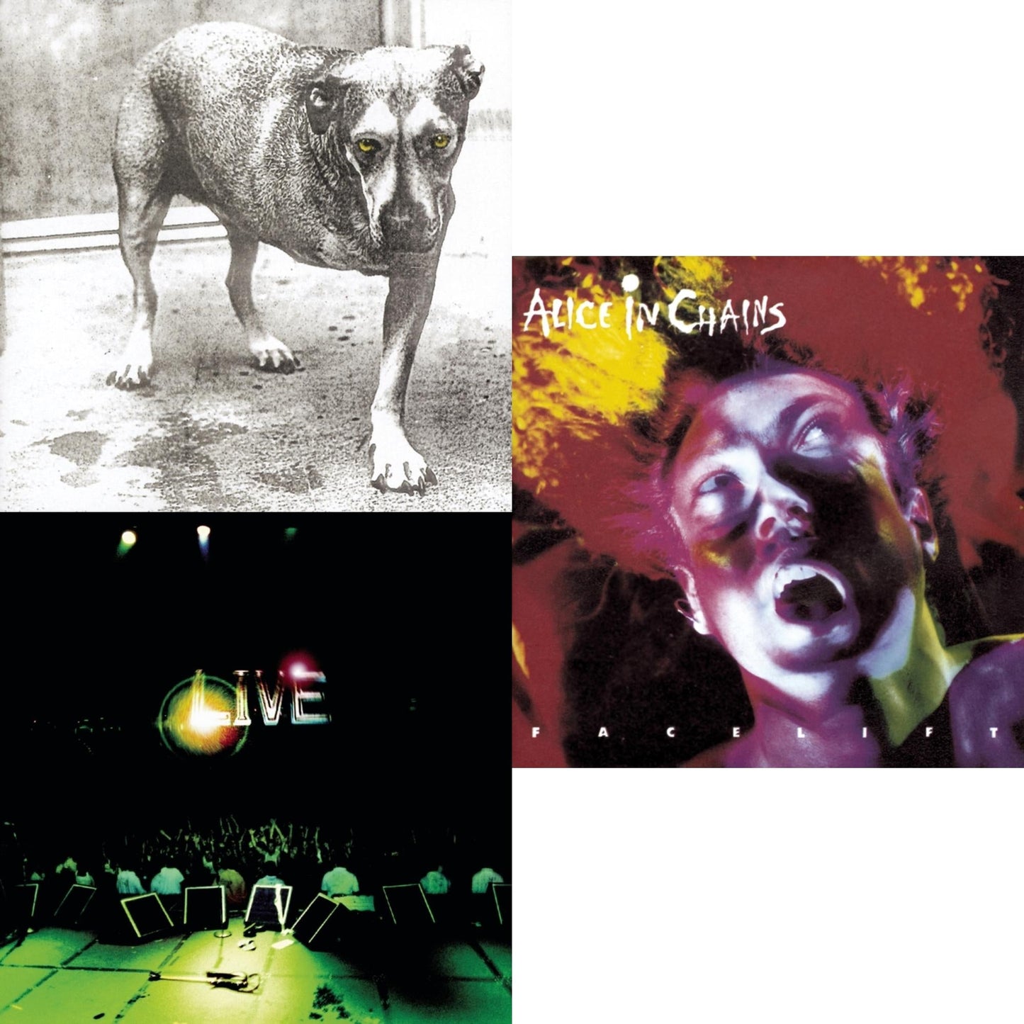 Alice In Chains - Live & Facelift & Alice In Chains - CD Bundle