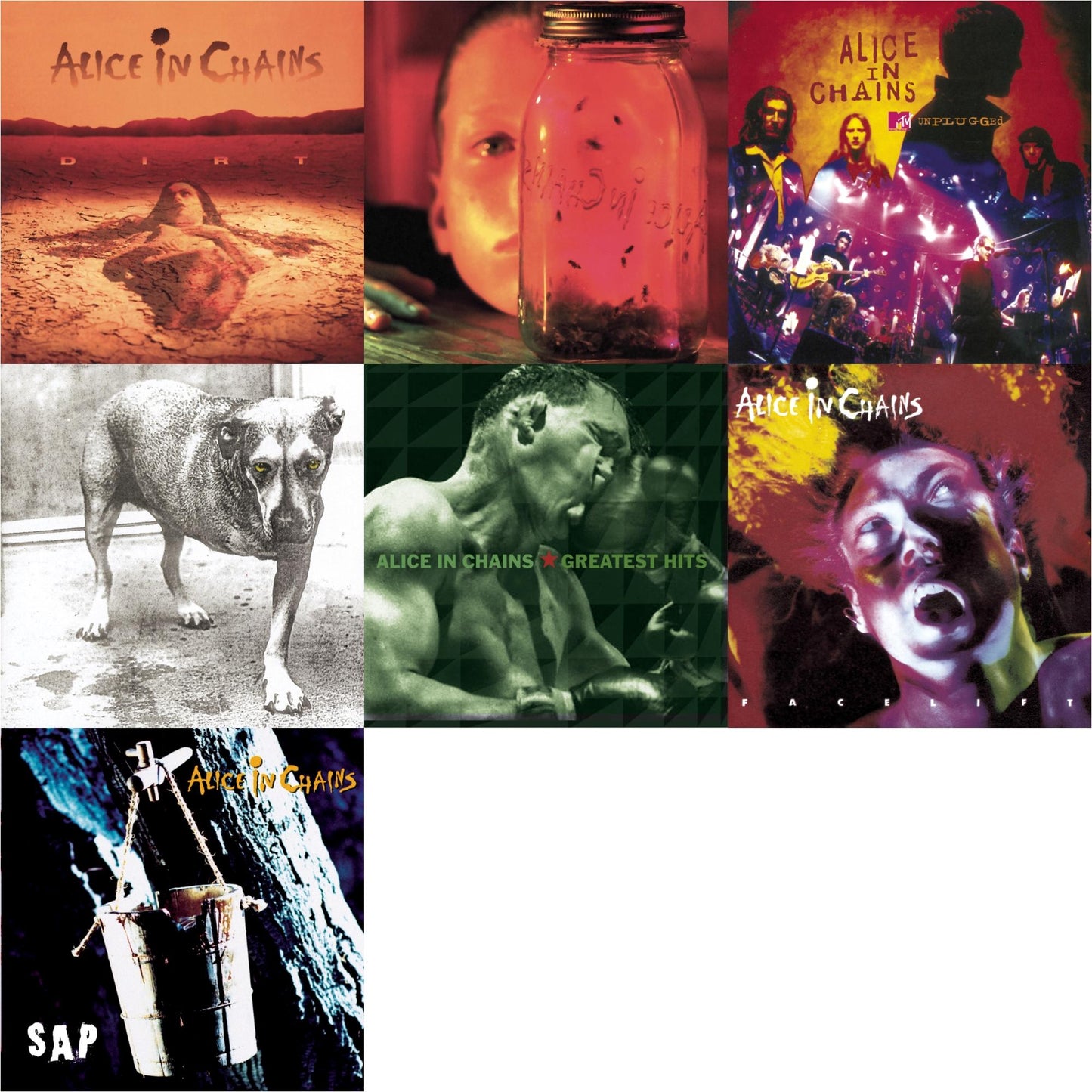 Alice In Chains - Dirt & Jar Of Flies & Greatest Hits & Unplugged & Sap & Facelift & Alice In Chains - CD Bundle