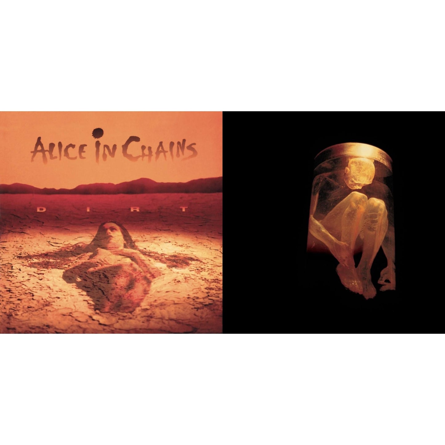 Alice In Chains - Dirt & Nothing Safe: Best Of The Box - CD Bundle