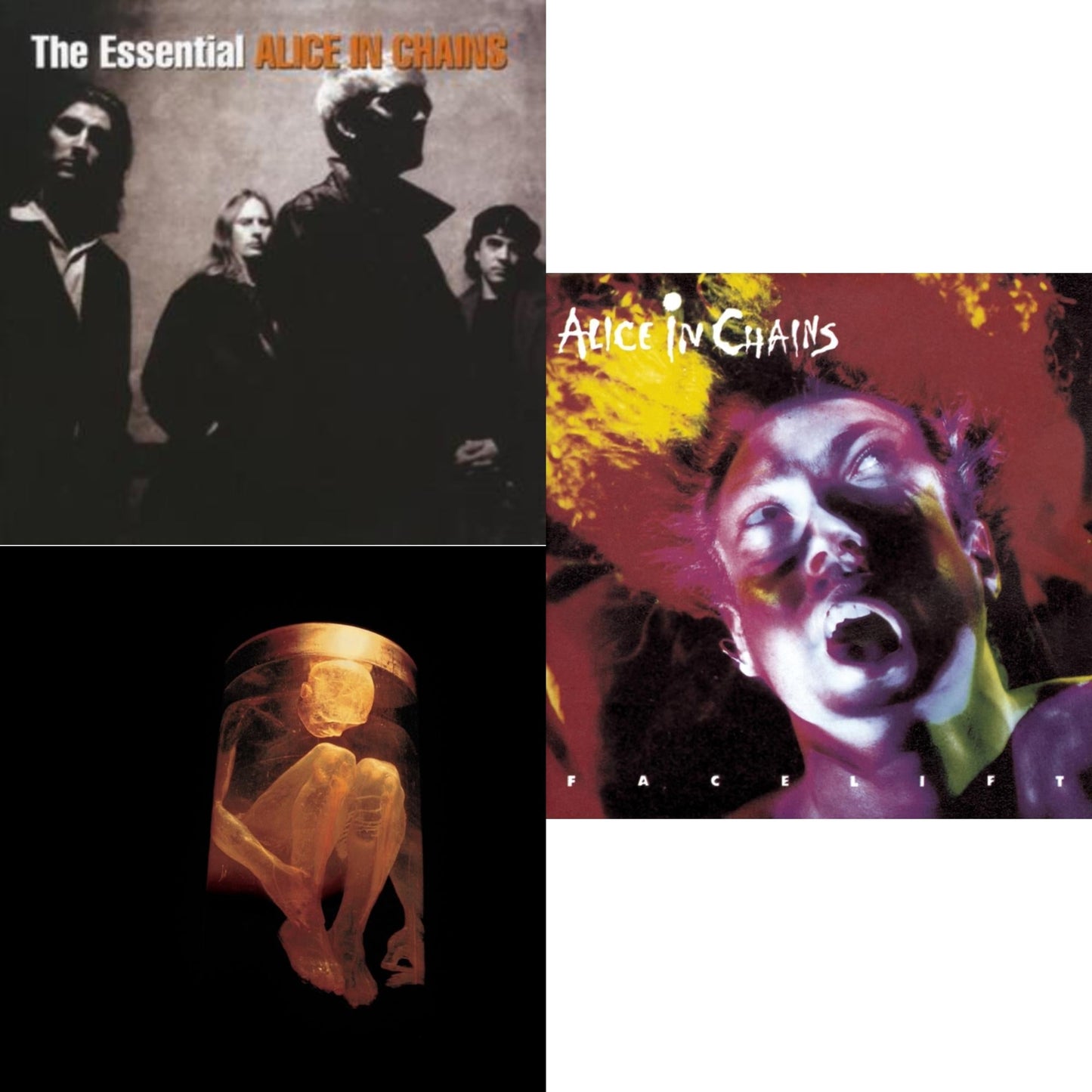 Alice In Chains - Essential Alice In Chains & Nothing Safe: Best Of The Box & Facelift - CD Bundle