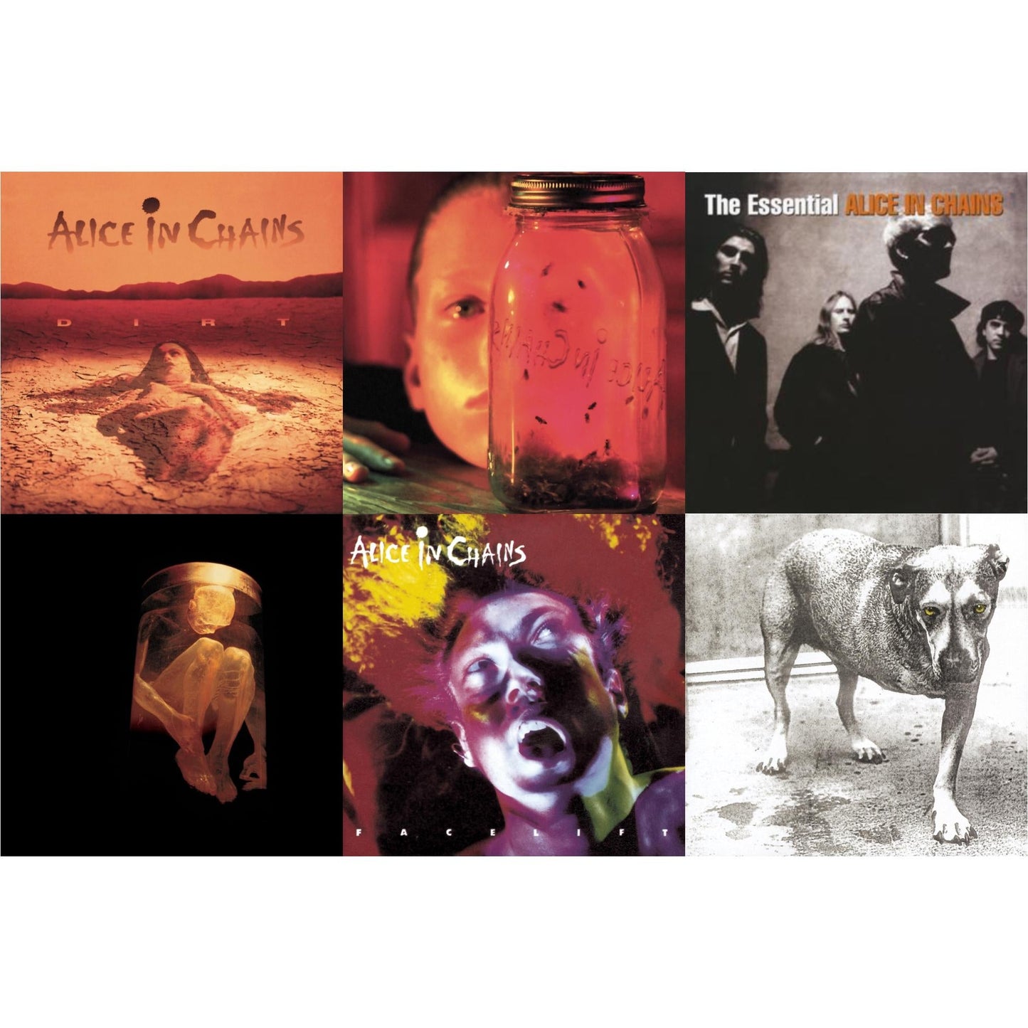 Alice In Chains - Dirt & Jar Of Flies & Essential Alice In Chains & Nothing Safe: Best Of The Box & Facelift & Alice In Chains - CD Bundle