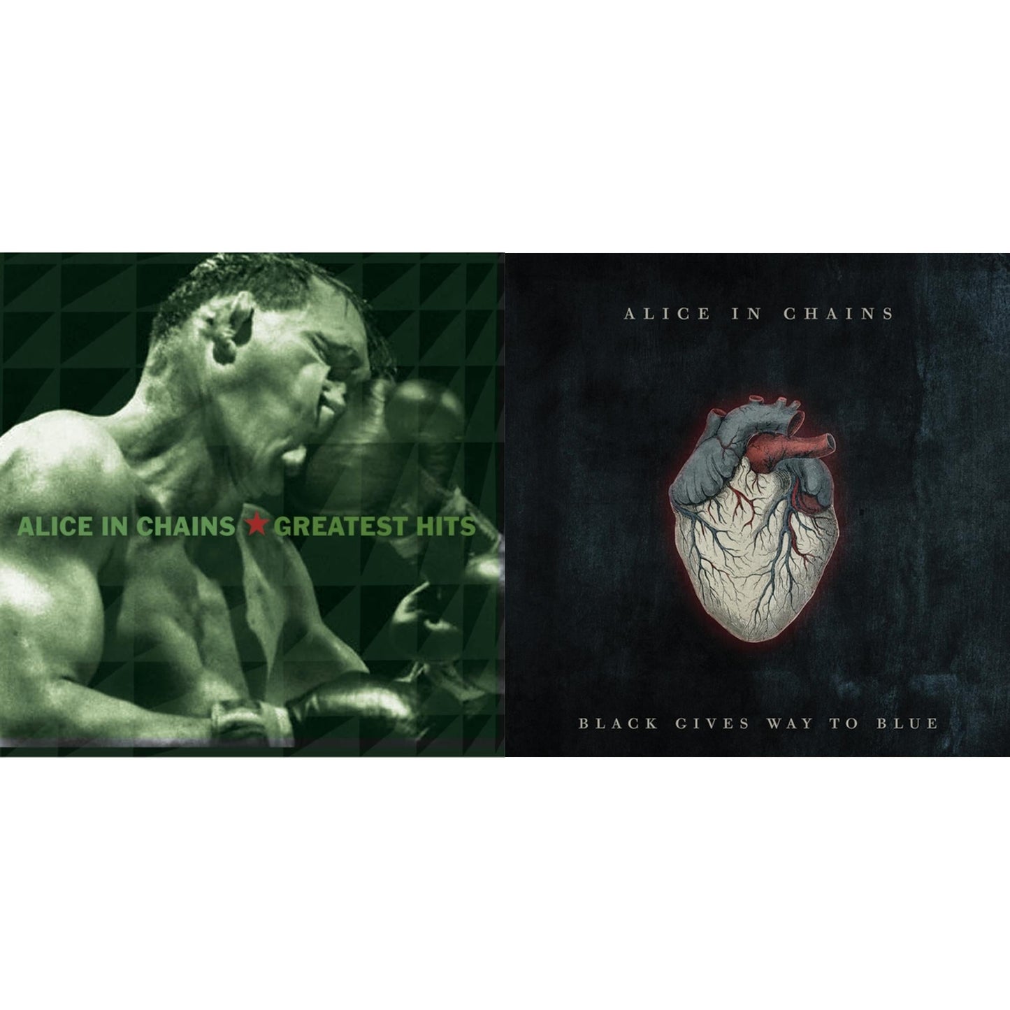 Alice In Chains - Black Gives Way To Blue & Greatest Hits - CD Bundle