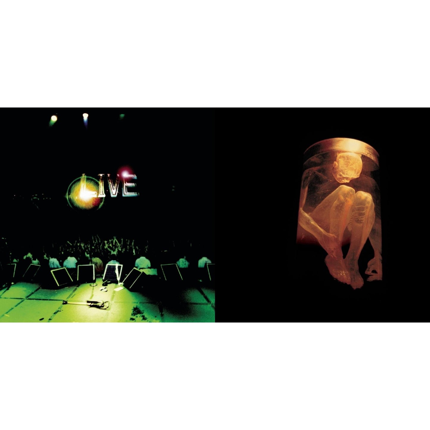 Alice In Chains - Live & Nothing Safe: Best Of The Box - CD Bundle