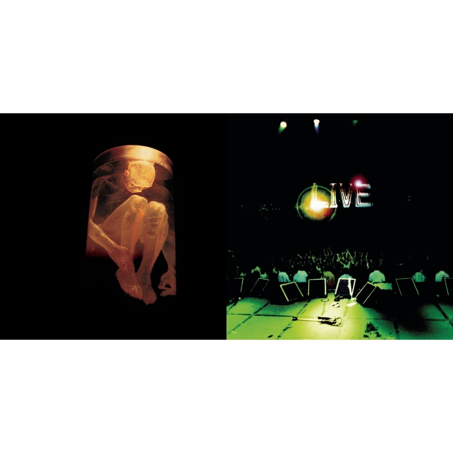 Alice In Chains - Nothing Safe: Best Of The Box & Live - CD Bundle