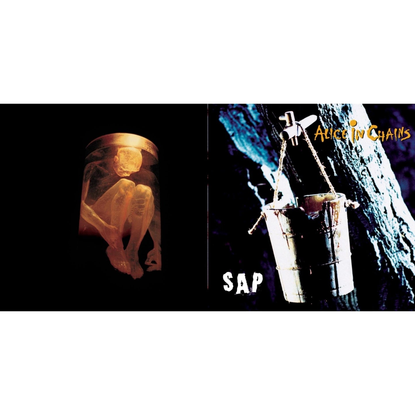 Alice In Chains - Sap & Nothing Safe: Best Of The Box - CD Bundle