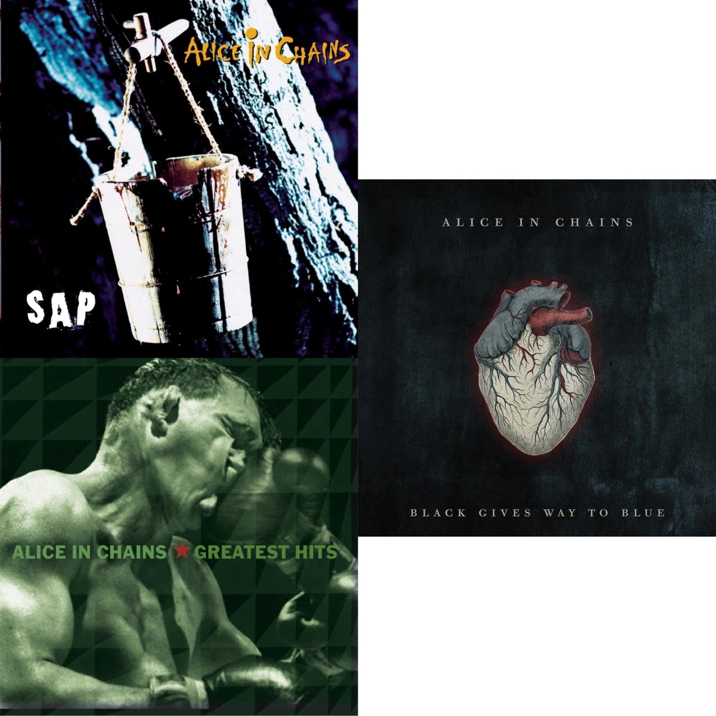 Alice In Chains - Black Gives Way To Blue & Greatest Hits & Sap - CD Bundle