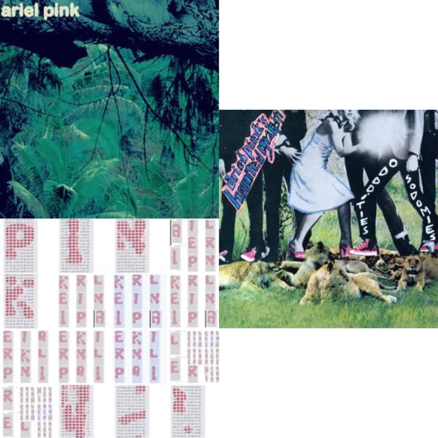 Ariel Pink - Odditties Sodomies Vol. 3 & Sit N' Spin & Odditties Sodomies Vol. 1 (2LP)