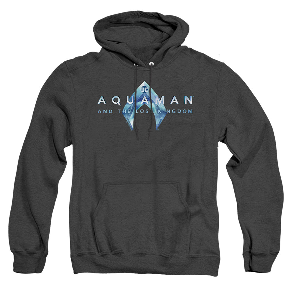 Aquaman And The Lost Kingdom Logo Heather Mens Hoodie Black Officially Licensed