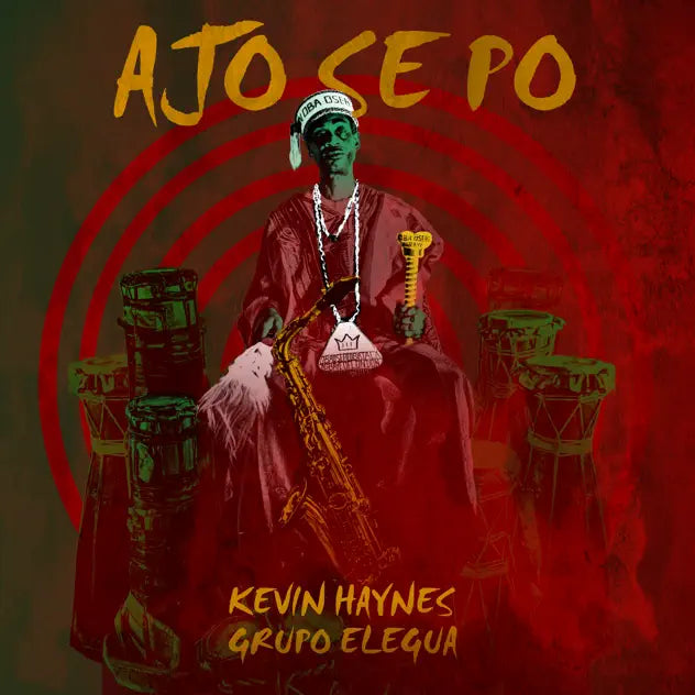 Ajo Se Po Vinyl Record