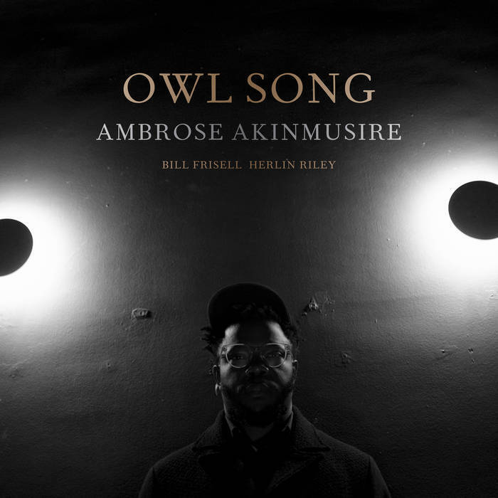 Ambrose Akinmusire - Owl Song Vinyl Record