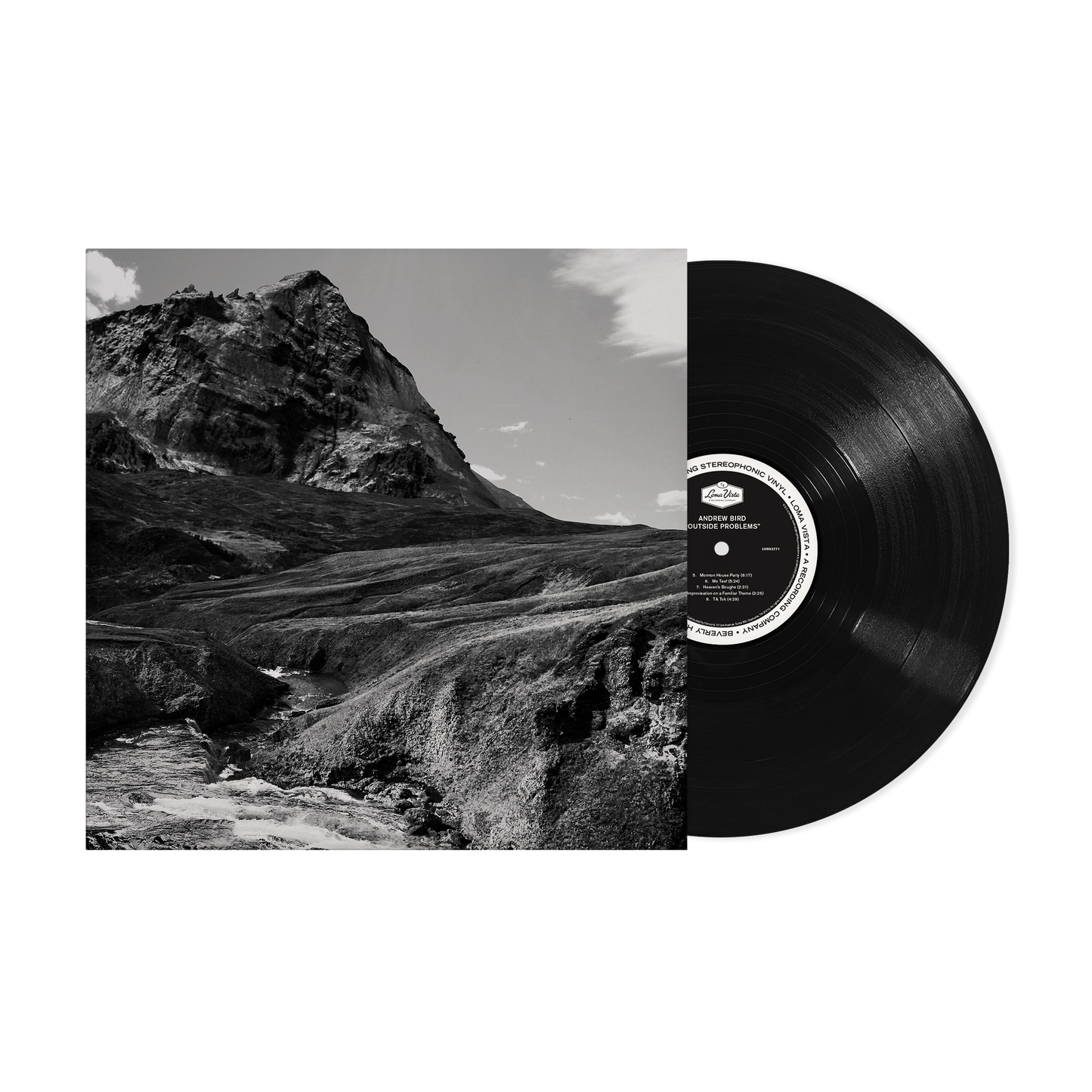 Andrew Bird Outside Problems LP Vinyl Record